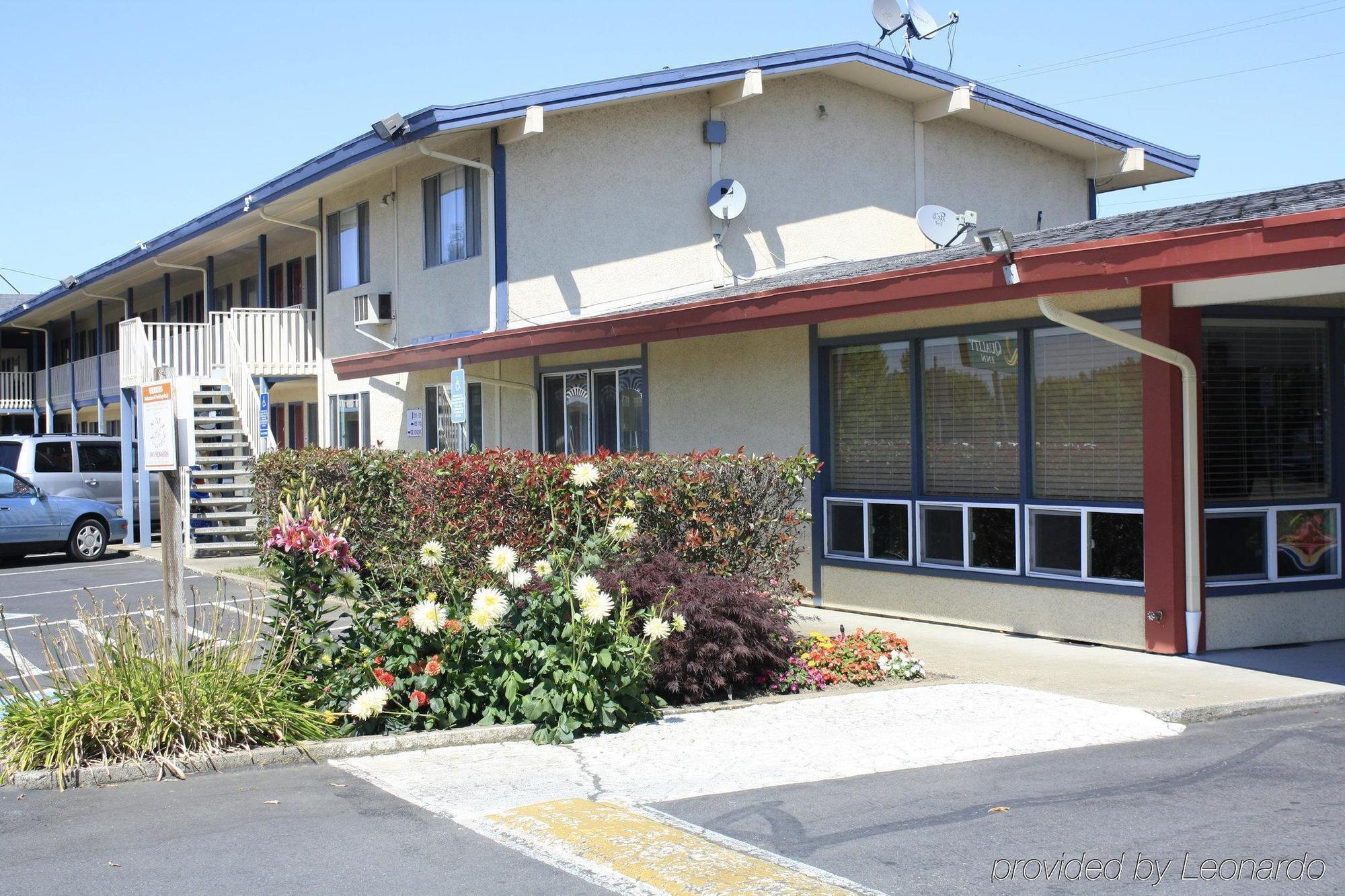Rodeway Inn Albany Bagian luar foto