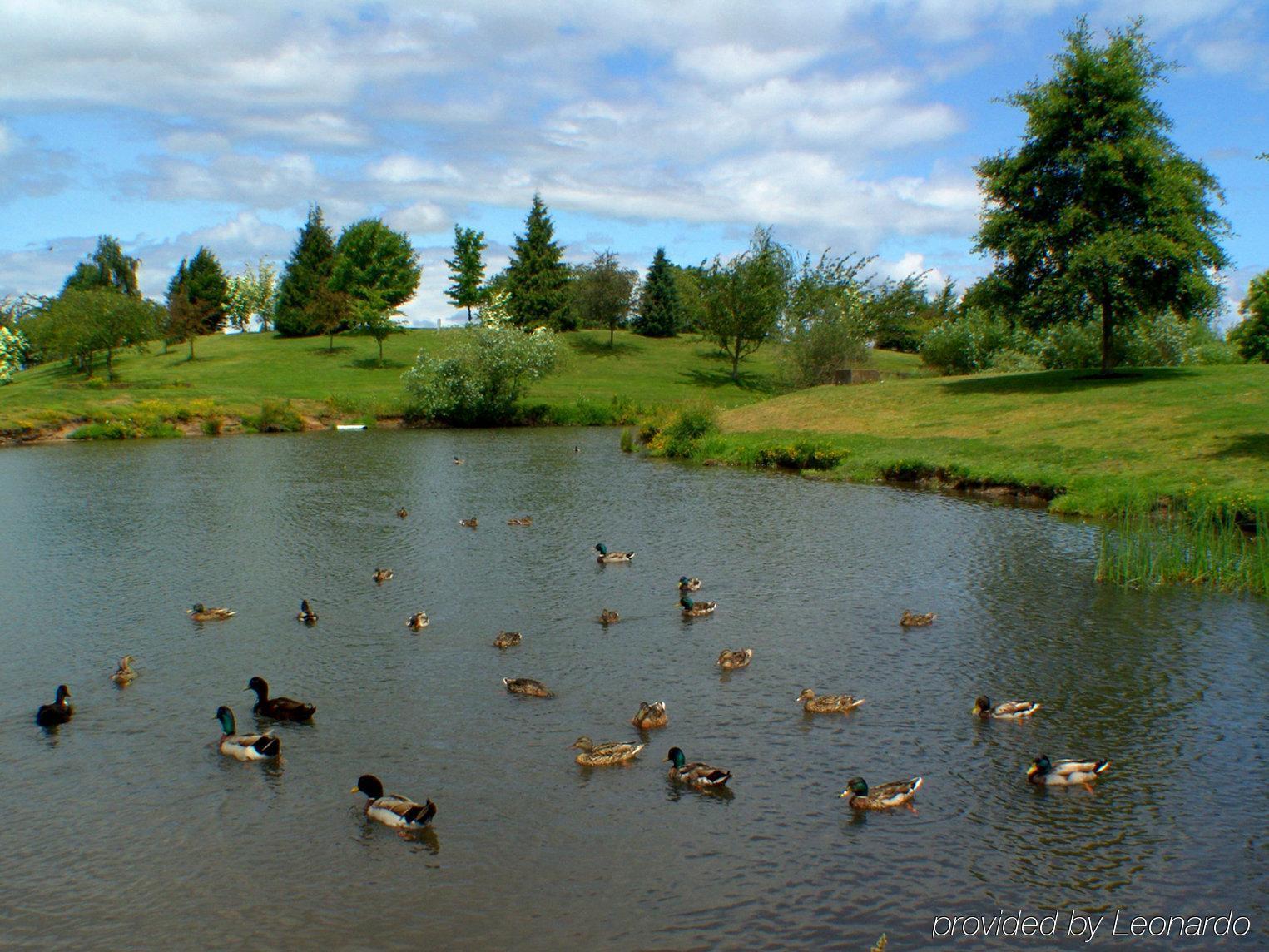 Rodeway Inn Albany Bagian luar foto